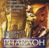 THE MIRACLE OF EGYPT