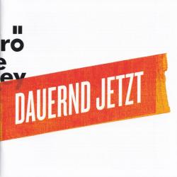Herbert Grönemeyer DAUERND JETZT Фирменный CD Herbert Grönemeyer DAUERND JETZT Фирменный CD