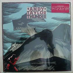 ANDY TAYLOR THUNDER Виниловая пластинка 