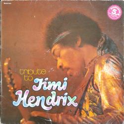 LIVE EXPERIENCE BAND TRIBUTE TO JIMI HENDRIX Виниловая пластинка 