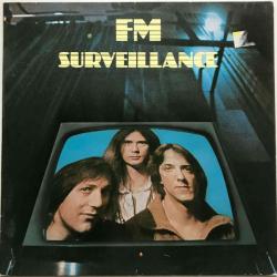 FM SURVEILLANCE Виниловая пластинка 