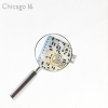 CHICAGO 16