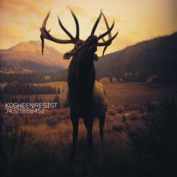 KOSHEEN RESIST Фирменный CD KOSHEEN RESIST Фирменный CD