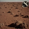 Jane Live