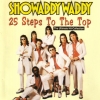 25 Steps To The Top (The Ultimate Hit-Collection)