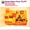 Muddy Waters Sings "Big Bill"