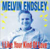 I LIKE YOUR KIND OF LOVE