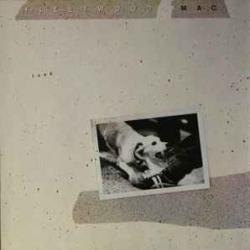 FLEETWOOD MAC TUSK Виниловая пластинка 