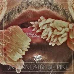TORO Y MOI UNDERNEATH THE PINE Виниловая пластинка 