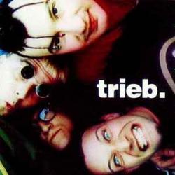 TRIEB. GROOVE NATION Фирменный CD 