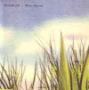WATER HYMNS