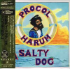 A SALTY DOG