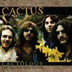 CACTUS CACTOLOGY Фирменный CD CACTUS CACTOLOGY Фирменный CD