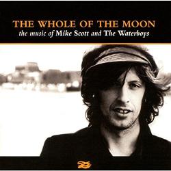 Mike Scott And The Waterboys The Whole Of The Moon (The Music Of Mike Scott And The Waterboys) Фирменный CD 