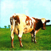 Atom Heart Mother