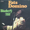 BLUEBERRY HILL