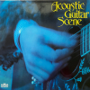 ACOUSTIC GUITAR SCENE