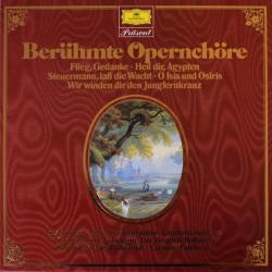 VARIOUS Berühmte Opernchöre LP-BOX 