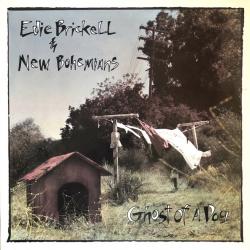 EDIE BRICKELL & NEW BOHEMIANS Ghost Of A Dog Виниловая пластинка 