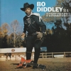 Bo Diddley Is A Gunslinger