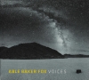 Voices Voices