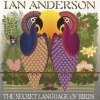 The Secret Language Of Birds The Secret Language Of Birds