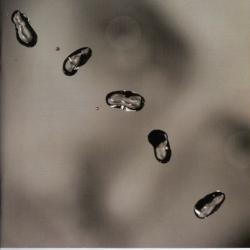 PETER GABRIEL UP Фирменный CD 