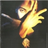 Terence Trent D'Arby's Neither Fish Nor Flesh: A Soundtrack Of Love, Faith, Hope, And Destruction