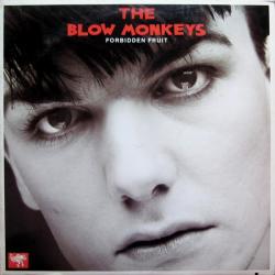 BLOW MONKEYS FORBIDDEN FRUIT Виниловая пластинка 