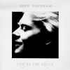 YOU'RE THE VOICE YOU'RE THE VOICE
